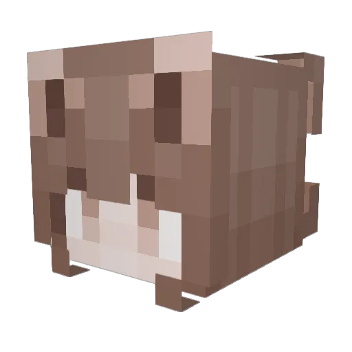 pastrykit Minecraft avatar head, 3D render