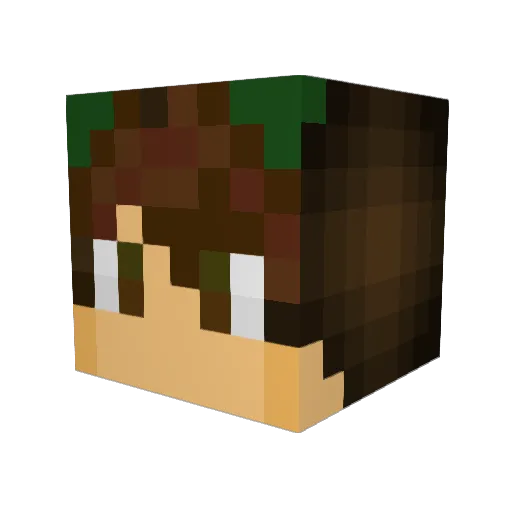 pastyleprechaun Minecraft avatar head, 3D render