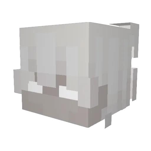 pasywa Minecraft avatar head, 3D render