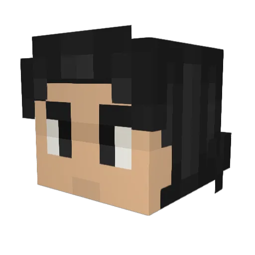 pasztet117 Minecraft avatar head, 3D render