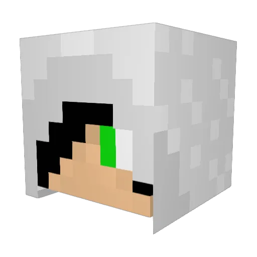pat9912 Minecraft avatar head, 3D render