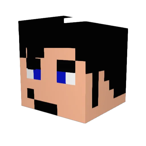 patcash54 Minecraft avatar head, 3D render