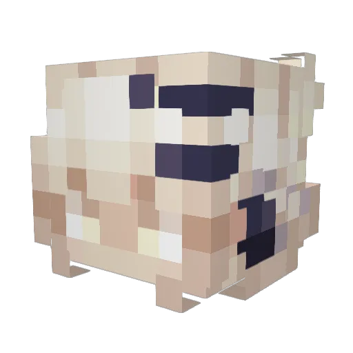 patchy_bug Minecraft avatar head, 3D render