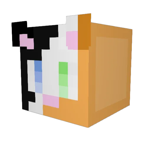 patchythecat Minecraft avatar head, 3D render