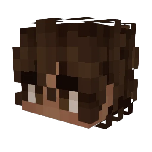 pater711 Minecraft avatar head, 3D render