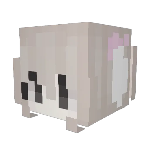 patheticdogthing Minecraft avatar head, 3D render