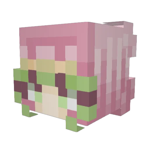 patheticwine Minecraft avatar head, 3D render