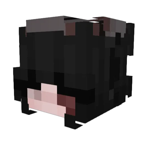 pathetik Minecraft avatar head, 3D render
