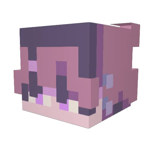 patioto Minecraft avatar head, 3D render