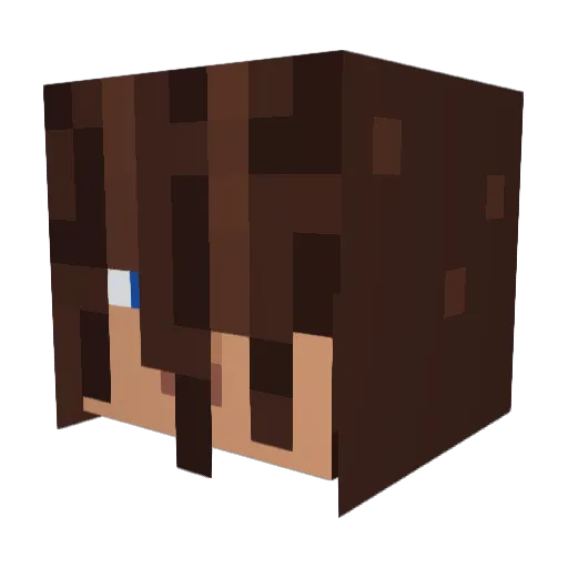 patogracia Minecraft avatar head, 3D render