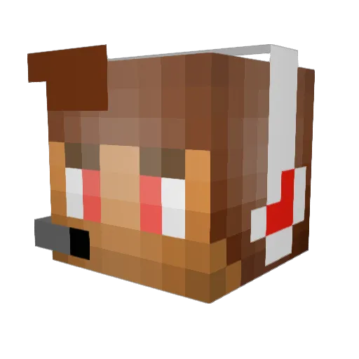 patpan8326 Minecraft avatar head, 3D render