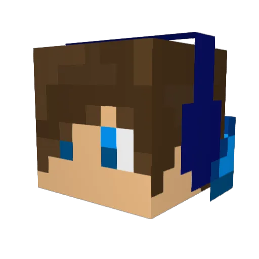 patrick11123 Minecraft avatar head, 3D render