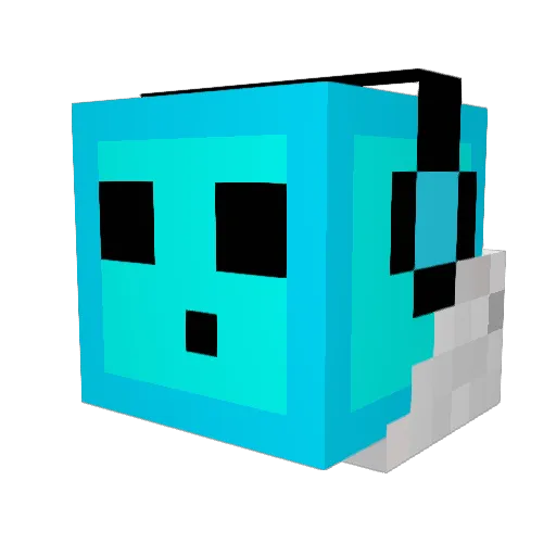 patrick2004NL Minecraft avatar head, 3D render