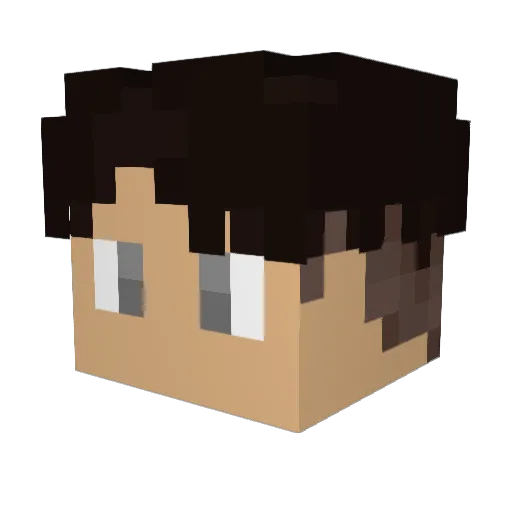 patrick_mcnamara Minecraft avatar head, 3D render