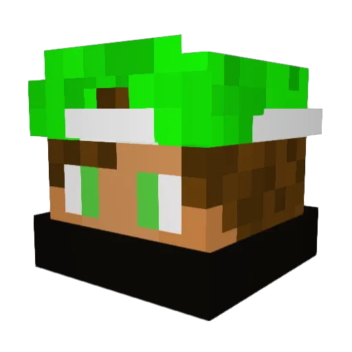 patrickbmn Minecraft avatar head, 3D render