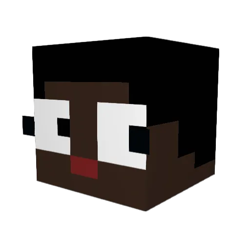 patrickisthisno Minecraft avatar head, 3D render