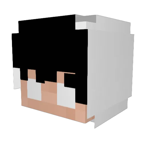 patrickpatri Minecraft avatar head, 3D render