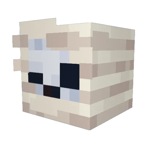 patridgeNF Minecraft avatar head, 3D render