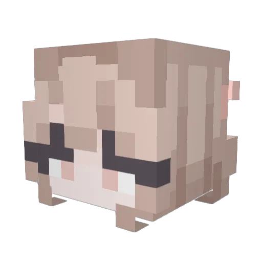 patriotsfan1232 Minecraft avatar head, 3D render