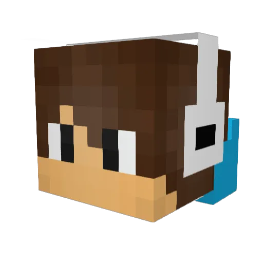 patriotspwn9 Minecraft avatar head, 3D render