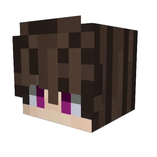 patryk1254 Minecraft avatar head, 3D render