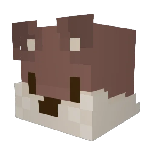 patte221 Minecraft avatar head, 3D render