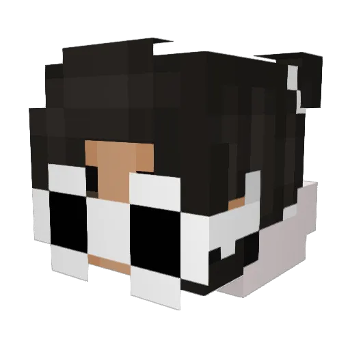 patterissia Minecraft avatar head, 3D render