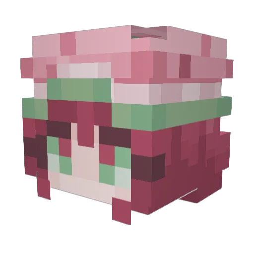 paty_14 Minecraft avatar head, 3D render