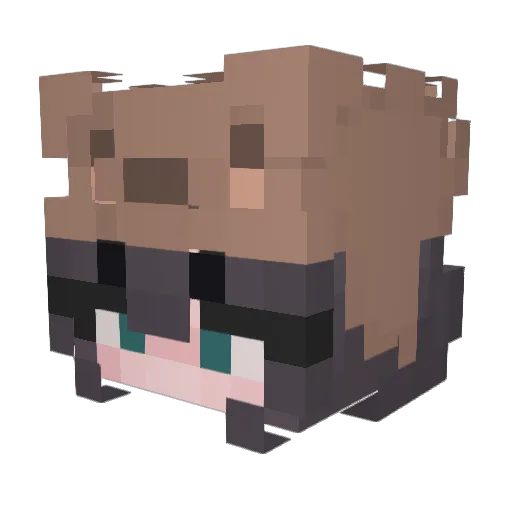 pau_pau69 Minecraft avatar head, 3D render