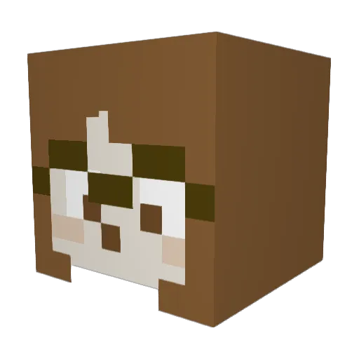 paulaissleepy Minecraft avatar head, 3D render