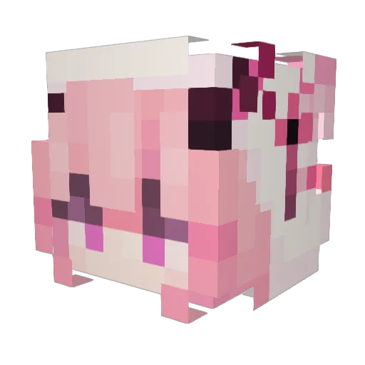 pauliee16 Minecraft avatar head, 3D render