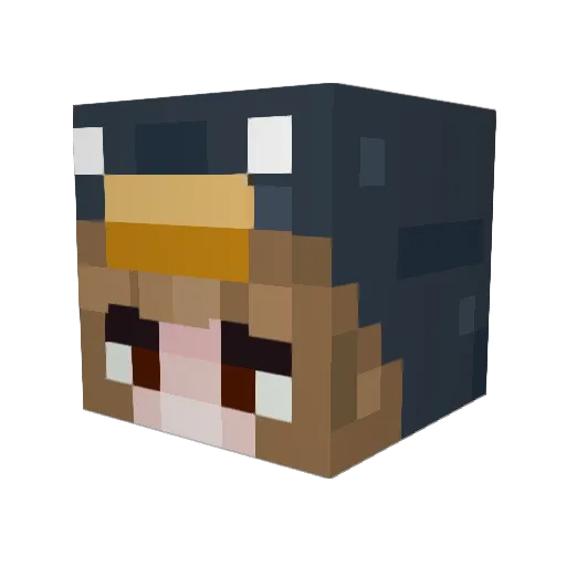 paulien2000 Minecraft avatar head, 3D render
