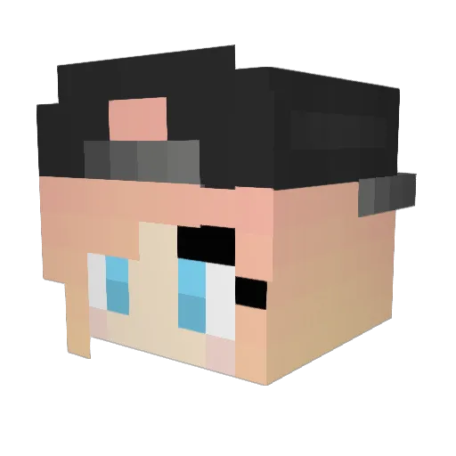 pauliesox Minecraft avatar head, 3D render