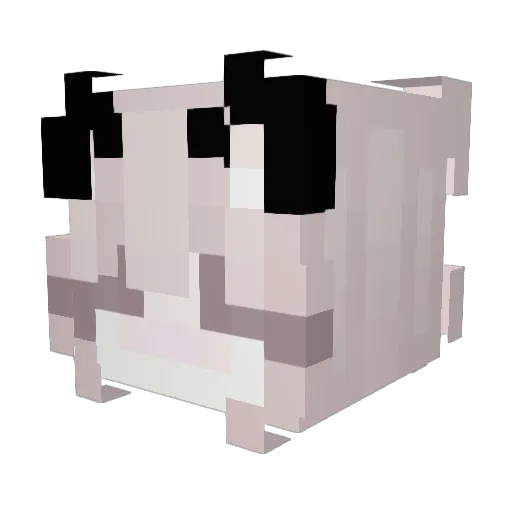 pauliferrr Minecraft avatar head, 3D render