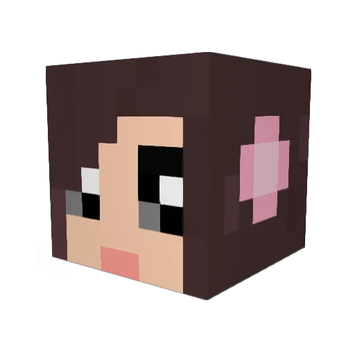 pauliii Minecraft avatar head, 3D render