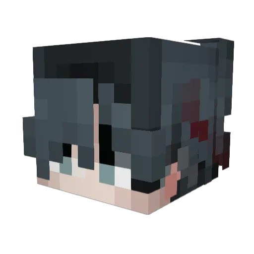 paulimeow Minecraft avatar head, 3D render