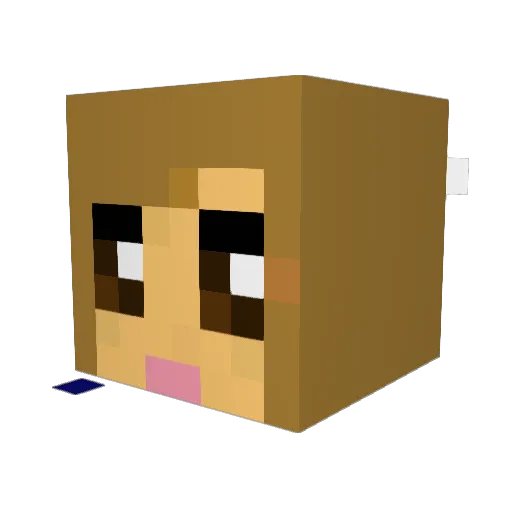 paulinha0123 Minecraft avatar head, 3D render
