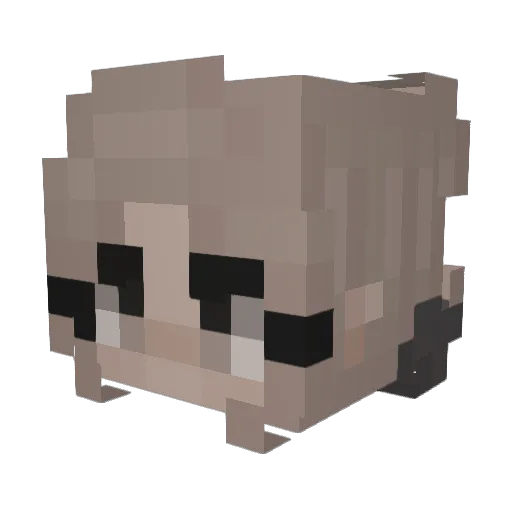 paulitag08 Minecraft avatar head, 3D render
