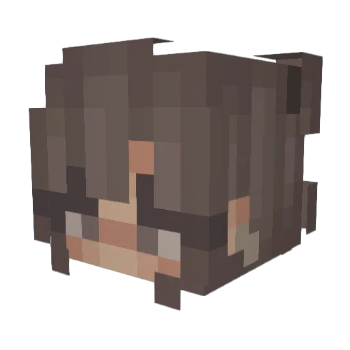 paullak Minecraft avatar head, 3D render