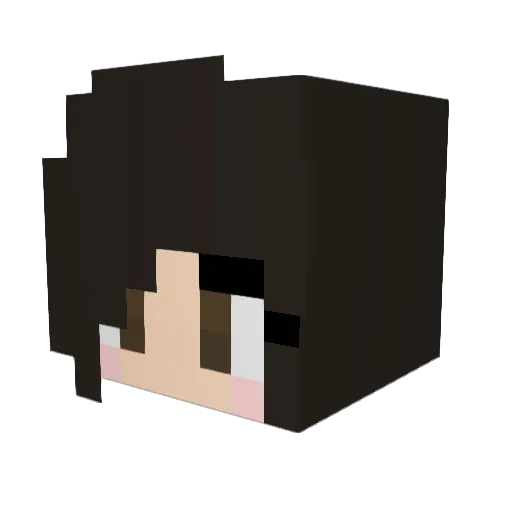 paullkaa Minecraft avatar head, 3D render