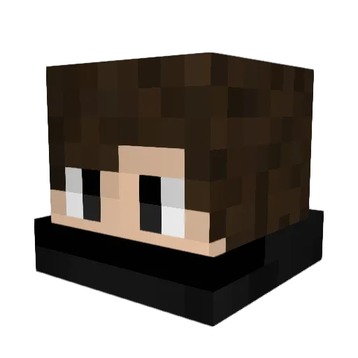 paulo1056 Minecraft avatar head, 3D render