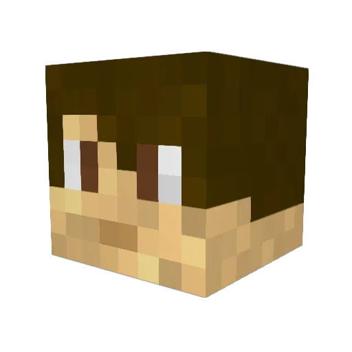 paulsen_007 Minecraft avatar head, 3D render