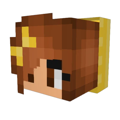 paupilote Minecraft avatar head, 3D render