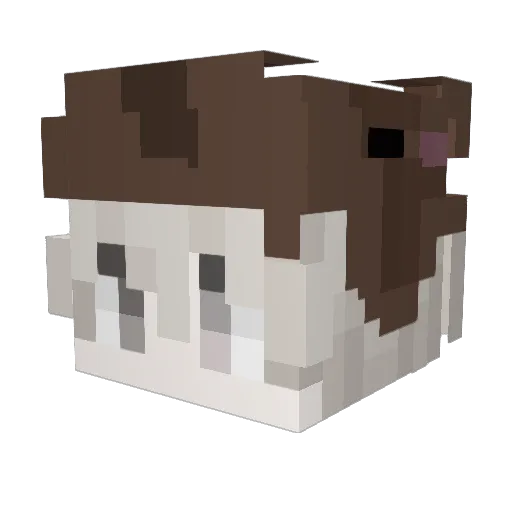 pausa Minecraft avatar head, 3D render