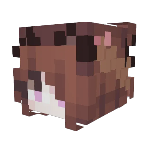 pauulaa00 Minecraft avatar head, 3D render