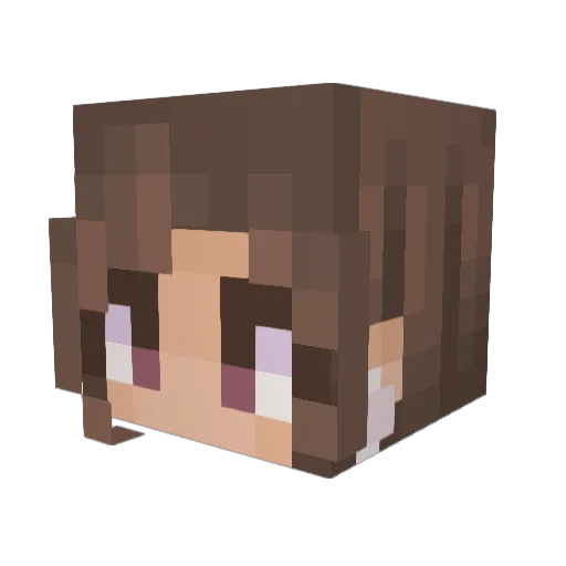 pauulixiixi Minecraft avatar head, 3D render