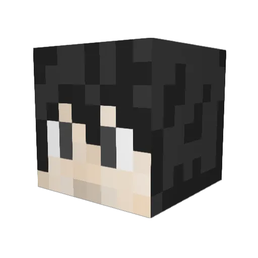 pauwergas2 Minecraft avatar head, 3D render
