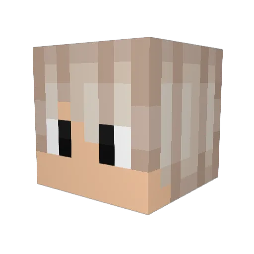 paux_15 Minecraft avatar head, 3D render