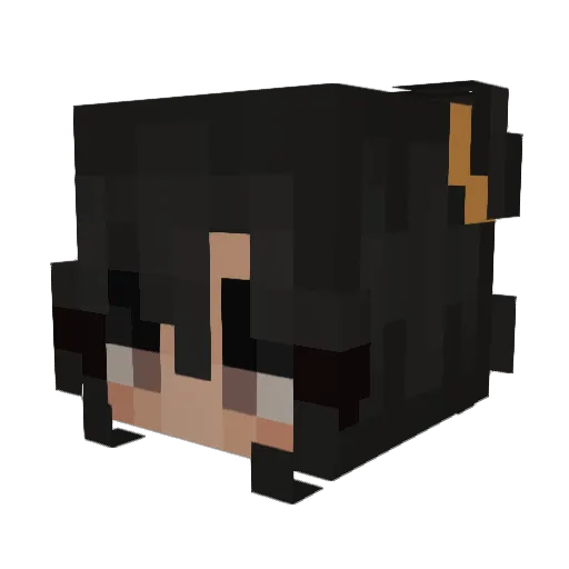 pavmi Minecraft avatar head, 3D render