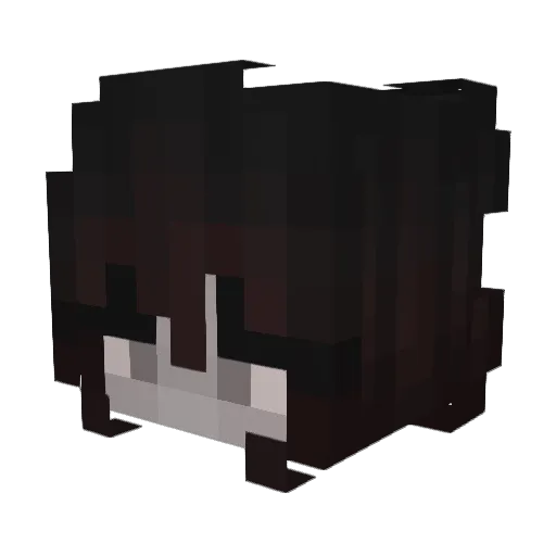 pavo_riko Minecraft avatar head, 3D render